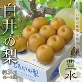 【予約受付】8/24~順次出荷【約3kg(6〜9玉)】千葉県産 しろいの梨（品種：豊水）【冷蔵】
