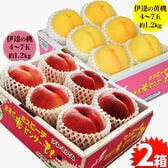 【予約受付】8/17~順次出荷【約2.4kg/各約1.2kg×2箱】福島県産伊達の桃白桃＆黄桃セット