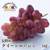 【長野】1房　クイーンルージュ