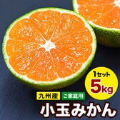 【予約受付】9/20~順次出荷【5kg(約62玉前後~142玉前後入)】熊本小玉みかん ※ご家庭用
