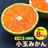 【予約受付】9/20~順次出荷【8kg(約100玉前後~228玉前後入)】熊本小玉みかん ※ご家庭用