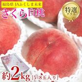 【予約受付】9/15~順次出荷【約2kg/5~8玉入り】福島県産 さくら白桃《特選品》