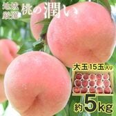 順次出荷　地域厳選の桃「潤い」大玉15玉　1箱約5k