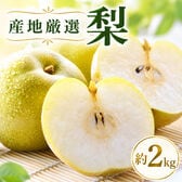 【約2kg(5~8玉)】産地厳選 梨《品種おまかせ》