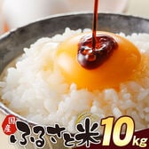 【計10kg(5kg×2袋)】国産 ふるさと米 白米