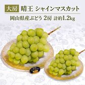 【日替わり数量限定】【2房計約1.2kg】岡山県産シャインマスカット 大房『晴王』【冷蔵】【先行チケット利用NG】