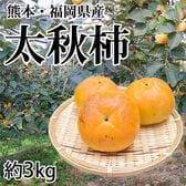 【予約受付】10/23~順次出荷【約3kg】熊本・福岡県産 太秋柿(ご家庭用・傷あり)