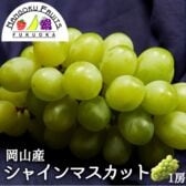 【岡山】1房　シャインマスカット