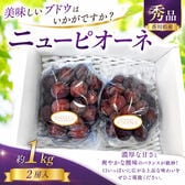 【約1kg(2房入)】秀品 香川県産 ニューピオーネ