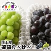 【岡山】葡萄食べ比べ（ピオーネ＆シャインマスカット）