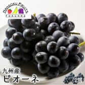 【九州】 2房　ピオーネ