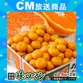 【予約受付】11/9~順次出荷【約計5kg/約2.5kg×2箱】長崎県産 極甘みかん 味ロマン