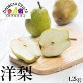 【予約受付】9月下旬~順次出荷【山形/長野/青森他】1.2kg (4-5玉)　旬の洋梨