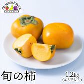 【予約受付】10月上旬~順次出荷【九州】1.2kg　旬の柿