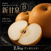 【2.5kg(7-8玉入り)】鳥取県産 梨 新甘泉