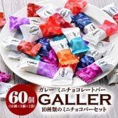 【賞味期限要確認】【10種/計60粒】ガレー ミニチョコレートアソート（30粒入り×2袋）