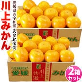 【予約受付】11/15~順次出荷【計6kg(約3kg×2箱/2Lサイズ)】愛媛県産 川上みかん