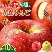 【予約受付】10/1~順次出荷【10kg】 青森県産 ご家庭用りんご 10kg 品種おまかせ