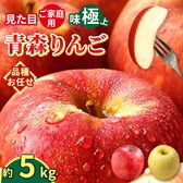 【予約受付】10/1~順次出荷【5kg】 青森県産 ご家庭用りんご 品種おまかせ