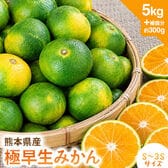 【5kg】 極早生みかん 熊本県産 極小玉 S-SSサイズ