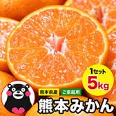 【予約受付】10/30~順次出荷【5kg(約26玉前後~100玉前後入)】熊本みかん ※ご家庭用