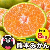 【予約受付】10/30~順次出荷【8kg(約42玉前後~160玉前後入)】熊本みかん ※ご家庭用