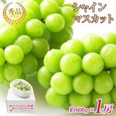 地域厳選シャインマスカット　秀品　約600g　1房
