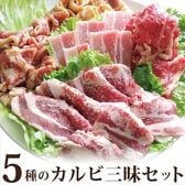 【日替わり数量限定】【計1.45kg】焼肉 カルビ 三昧 福袋 5種盛り【先行チケット利用NG】