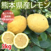 【5kg(S-L)】熊本県産 レモン 国産レモン(ご家庭用・傷あり)