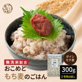 【300g(300g×1袋)】おこめともち麦のごはん（食物繊維をしっかり摂りたい方に）
