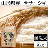 【5kg】令和8年産 山形県産 ササニシキ 無洗米 当日精米
