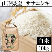 【10kg】令和8年産 山形県産 ササニシキ 精米 当日精米