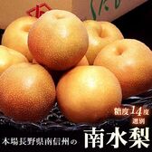 【約2.5kg(4〜8玉)】長野県産『南水梨』糖度14度以上【冷蔵】