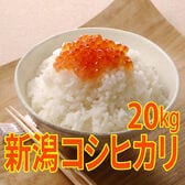 【20kg (5kg×4袋)】令和8年産  特選 新潟県産コシヒカリ