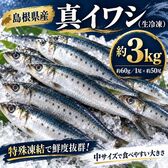 【約3kg/1尾約60g×約50尾】島根県産 真いわし