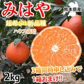 【予約受付】12/3~順次出荷【2kg】みはや 秀品 熊本県産