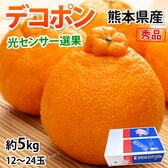 【予約受付】12/21~順次出荷【約5kg】デコポン 光センサー選果 熊本県産 DEKOPON