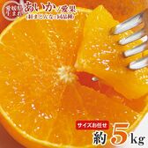 【予約受付】11/25~順次出荷【約5kg(サイズお任せ)】あいか・紅まどんな同等品種 (ご家庭用)
