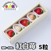 【予約受付】12月上旬~順次出荷【福岡・佐賀】5粒　紅白いちごギフトボックス