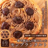 【日替わり数量限定】【 5号 】モンブランタルト 蜜で煮込んだ栗がたっぷり 【先行チケット利用NG】