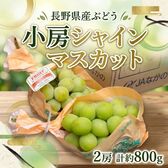 【計約800g(2房)】長野県産シャインマスカット