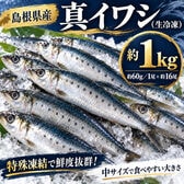 【約1kg/1尾約60g×約16尾】島根県産 真いわし