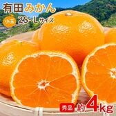 【予約受付】11/5~順次出荷【約4kg/2S~Lサイズ】《秀品》和歌山県産 有田みかん