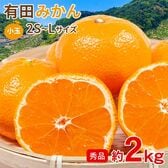 【予約受付】11/5~順次出荷【約2kg/2S~Lサイズ】《秀品》和歌山県産 有田みかん