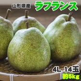 【予約受付】11月1日~順次出荷【約5kg(14玉入り)】ラフランス4L
