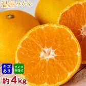 【予約受付】11/1~順次出荷【約4kg】厳選 温州みかん(ご家庭用・傷あり)