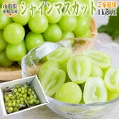 【1kg以上(2-3房)】山形県東根市産 シャインマスカット ご家庭用