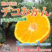 【予約受付】12/21~順次出荷【1.5kg】熊本県産 ハウスデコみかん（ご家庭用、傷あり）