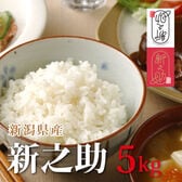 【5kg】 令和8年産 新米  新潟県産新之助