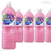 【5本】「ぶどう＆『カルピス』」PET 1.5L [抽選サンプル]